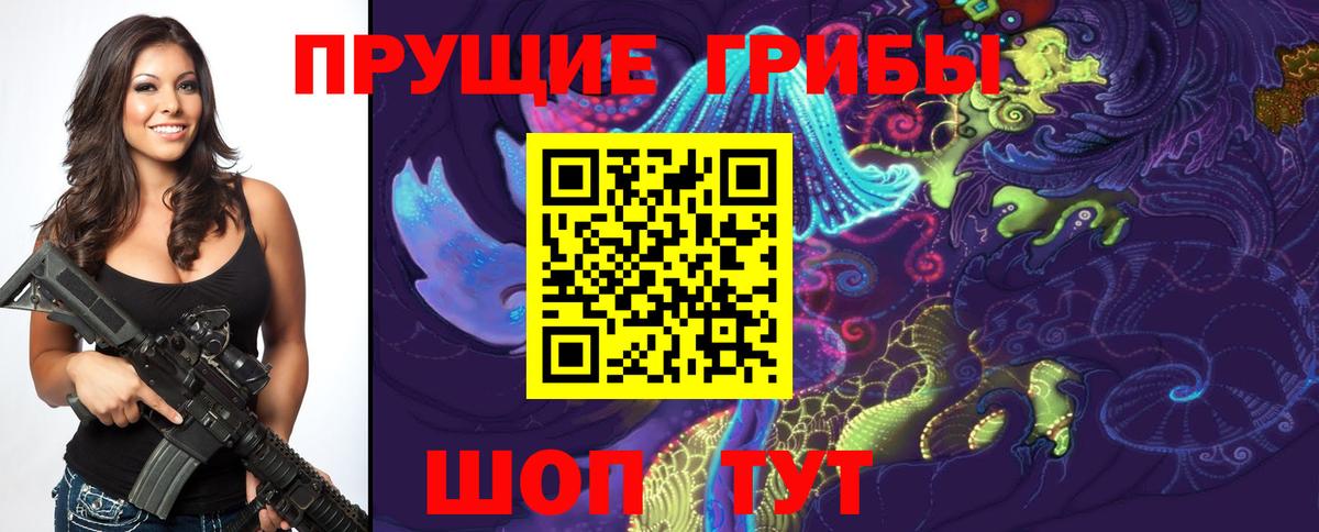 Псилоцибиновые грибы MAGIC MUSHROOMS Кизилюрт