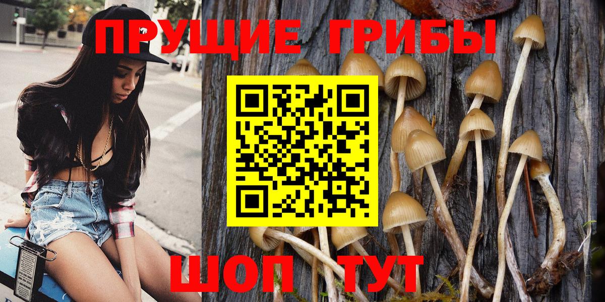 Псилоцибиновые грибы Psilocybine cubensis  Галлюциногенные грибы мухоморы  Вход с VPN  Кизилюрт 